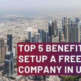 Free Zone Company in UAE
